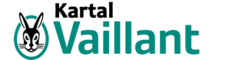 Kartal Vaillant Servisi - İşi Uzmanına Bırakın