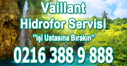 Kartal Vaillant Hidrofor Servisi
