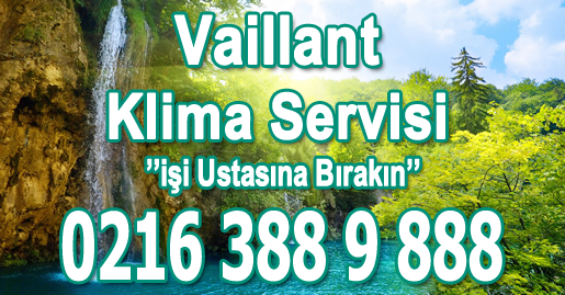 Kartal Vaillant Klima Servisi