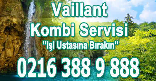 Kartal Vaillant Kombi Servisi