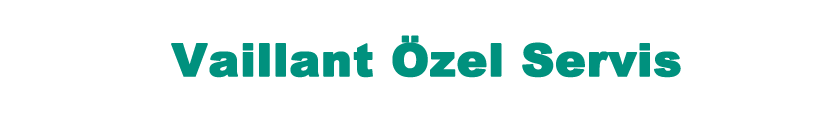 Özel Kartal Vaillant Servisi