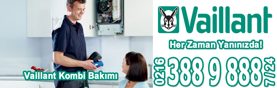 Kartal Vaillant Kombi Servisi